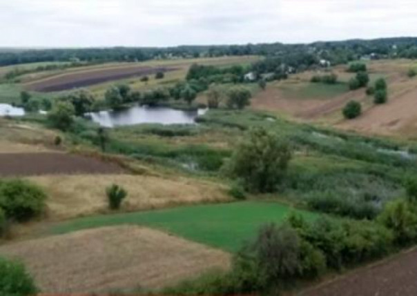 Кабмин изменил правила продажи земли