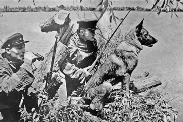 Как советские пограничники приняли первые удары немецкой армады?