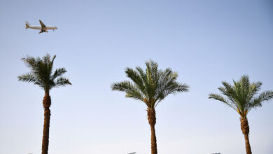 Путин разрешил возобновить полеты на курорты Египта