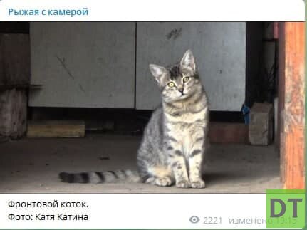 Умерла журналист и военкор из Донбасса Катя Катина