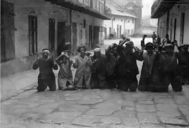 Голос Мордора: Как пан Вятрович обвинил во львовских погромах НКВД