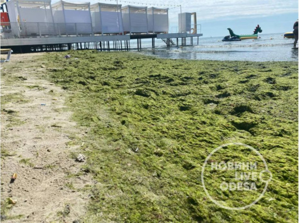 «Это просто вонючее болото»: туристы жалуются на жуткое состояние пляжей Одессы