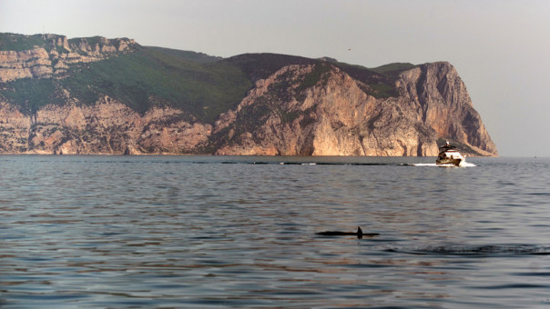 «Начертить красные линии»: как в Великобритании предлагают сдерживать Россию на границе с Украиной