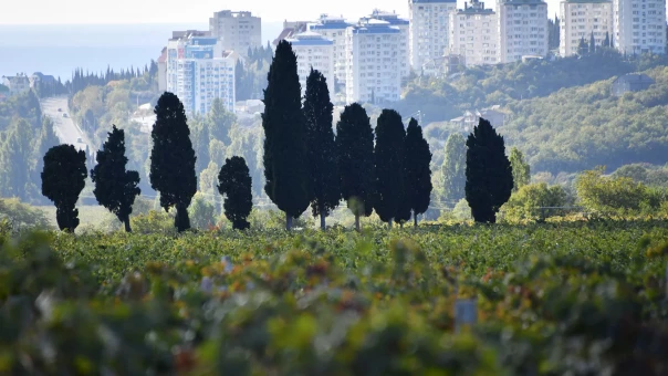 В Кремле отвергли идею о сделке с Турцией по Крыму