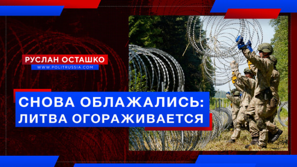 Снова облажались: Литва огораживается забором. Руслан Осташко