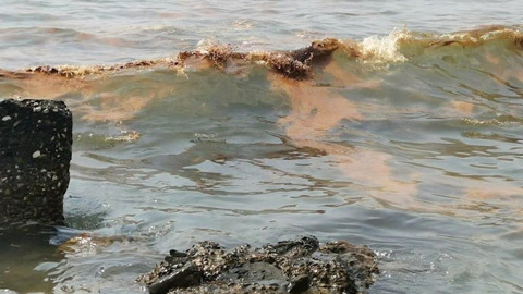 Разлив нефти в Черном море: дело переквалифицировано на более тяжкую статью.