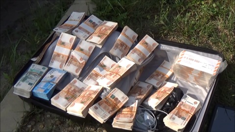 Предприниматель из Биробиджана забыл на парковке возле дома чемодан с 15 миллионами рублей