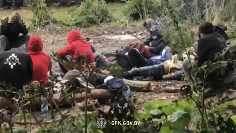 Польша пытается вытеснить на территорию Белоруссии афганских мигрантов