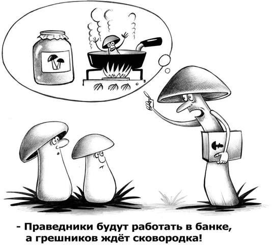 Как не надо собирать грибы