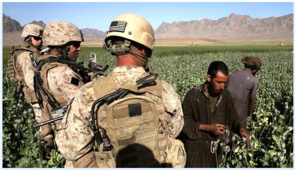 Голос Мордора: Какова истинная цена афганской демократии?