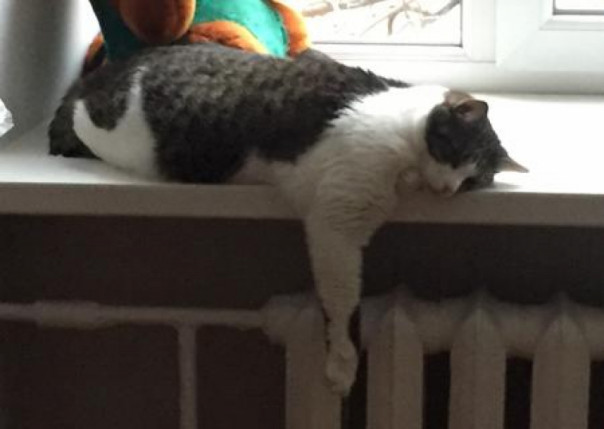 Зеленский пытается снижать градус озверения общества? Владимир Скачко