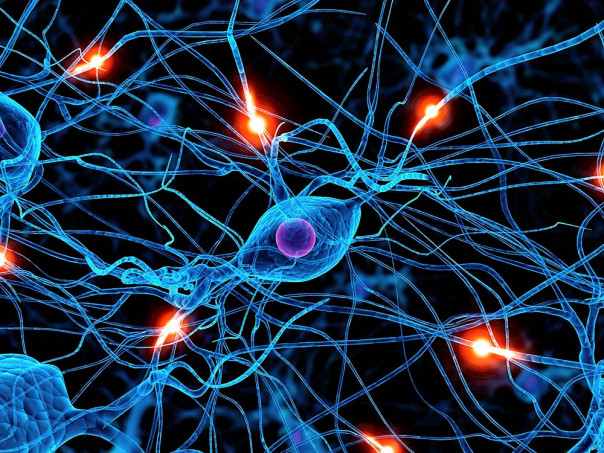 Цифры: сила мысли