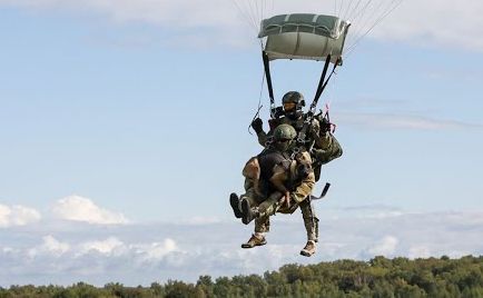 Спецназ Росгвардии отработал элементы десантирования кинологов и водолазов