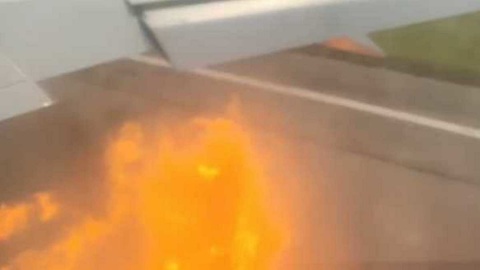 На Кубе два орла врезались в двигатель пассажирского самолета с российскими туристами во время его взлета