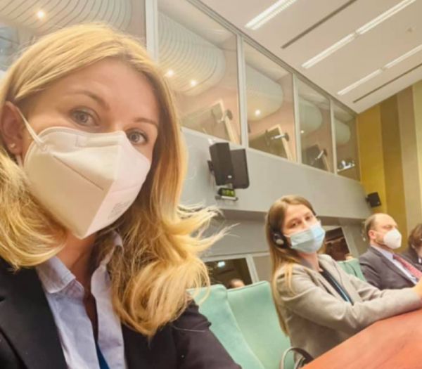 Украинские вопросы исключили из повестки осенней сессии ПАСЕ