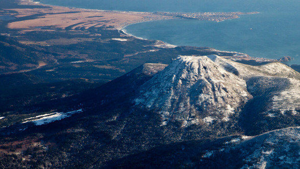 Глава МИД Японии высказался о плане Путина по Курилам