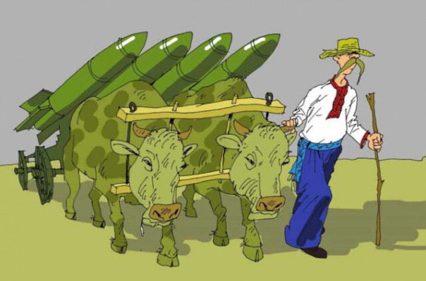 Зачем Украине дорогая игрушка «Железный купол»