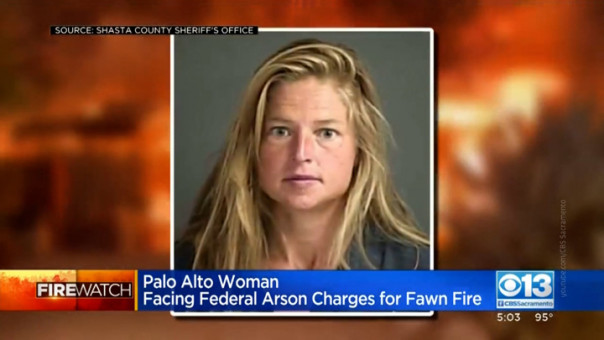 В Америке шаманка сожгла парк и сотню домов, пытаясь "прокипятить" медвежью мочу