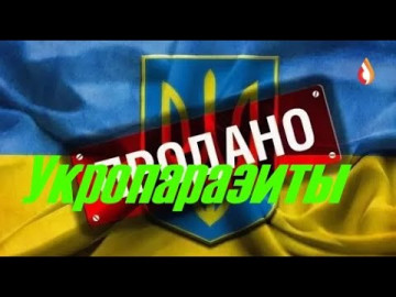 Укропаразиты | Придворные шуты | Проигравшие