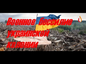 Военное бессилие украинской колонии | Бред сумасшедших | Выступление 95 квартала в ООН | План Скомороха