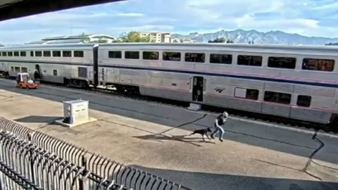 В Аризоне неизвестный открыл стрельбу в пассажирском поезде