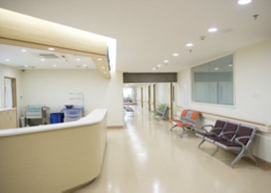 Как изменились цены в клиниках Израиля за последние 5 лет