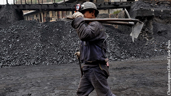 Появилась новая версия происхождения коронавируса