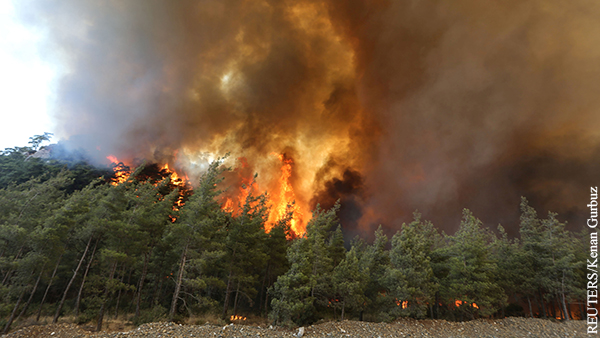 Группу россиян задержали в турецкой Анталье по подозрению в поджоге леса