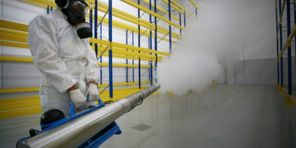 Дезинсекция на предприятиях - порядок проведения