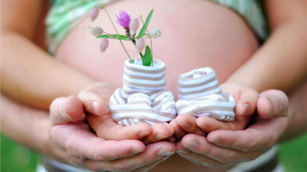 Как сделать бесплатное ЭКО в Москве?