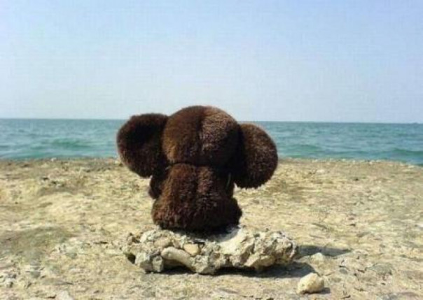 Власть и оппозиция: полная деградация в Грузии, Украине и Белоруссии. Владимир Скачко