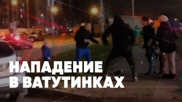 Нападение в Ватутинках | Звери против людей | Кто остановит беспредел | Сергей Карнаухов