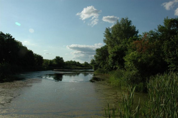 Ожила и Станица-Луганская