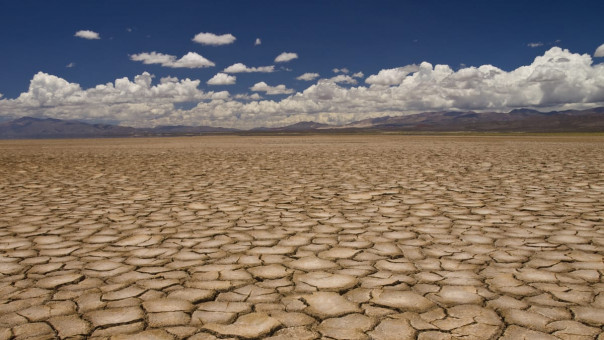 «Прогресс» в области экологии - это фикция и регресс