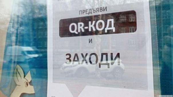 Совет Думы принял решение «не торопиться» с QR-законами