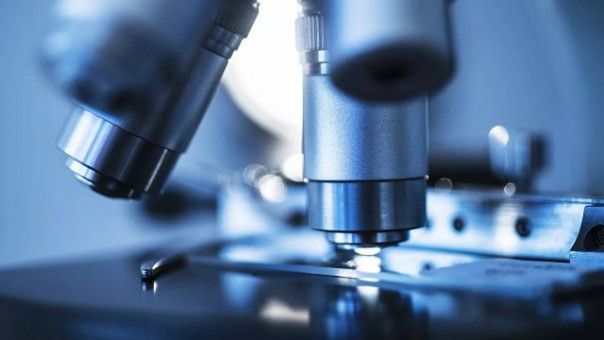 В Роспотребнадзоре прокомментировали сообщения об омикрон-штамме в России