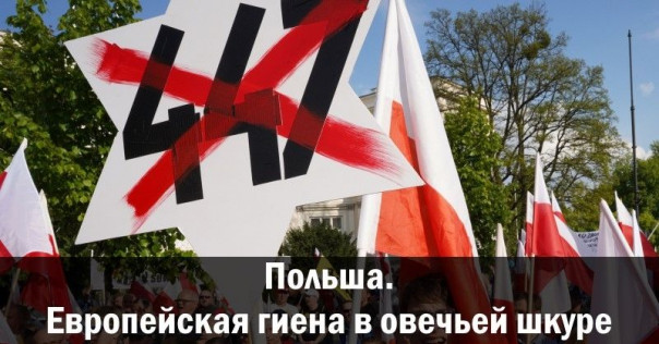 Польша. Европейская гиена в овечьей шкуре