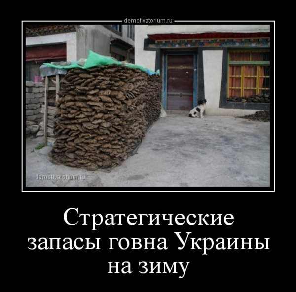 "Мыздобулы" в картинках. Смешных и не очень... 05.12.2021