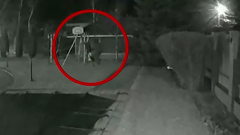 Оглашен приговор организатору покушения на главу Волгоградской области