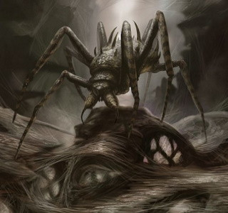 Исполинский паук прервал брифинг по коронавирусу в Австралии