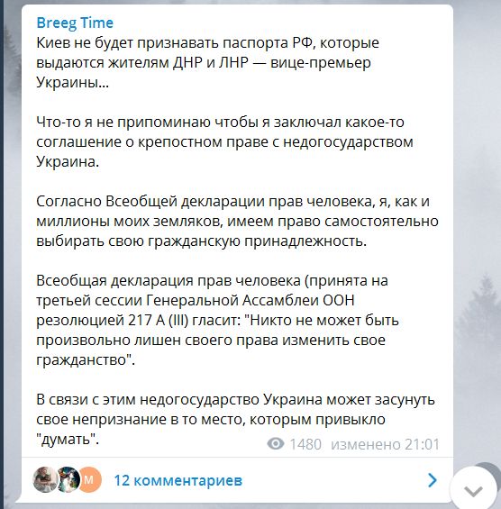 В ДНР рассказали, куда Украине следует поместить своё непризнание паспортов РФ в Донбассе