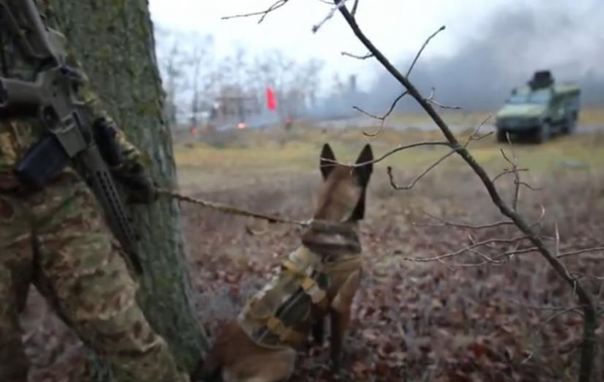 "В ожидании российского вторжения": Под Харьковом прошли учения теробороны