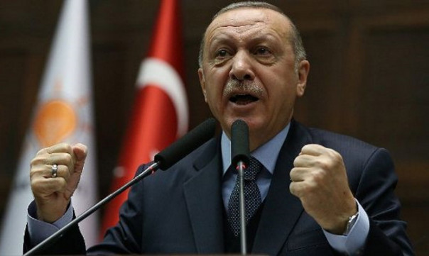 Эрдоган на встрече лидеров стран G20 в Бразилии собирается представить свое предложение по замораживанию конфликта на Украине