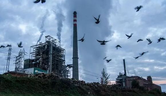 Король-уголь возвращается в Европу