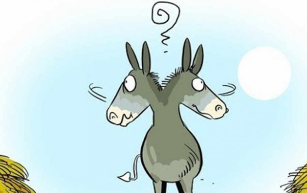 Буриданов осёл по-американски