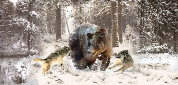 Складываем картинку - Россия, США, Китай и ЕС