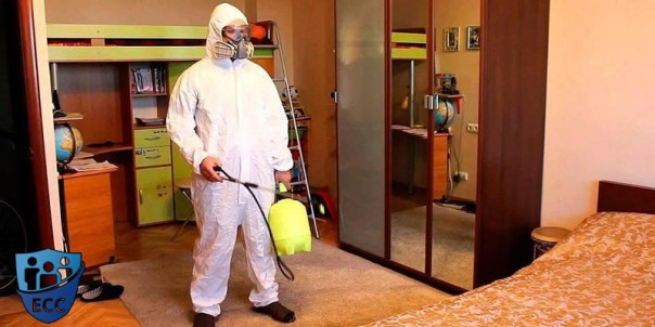 Дезинфекция: в каких случаях она необходима