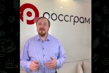 В России появились сразу два аналога запрещенного Instagram