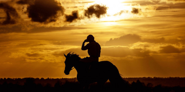 Россия ведёт переговоры о создании спортивных лиг со странами СНГ и БРИКС