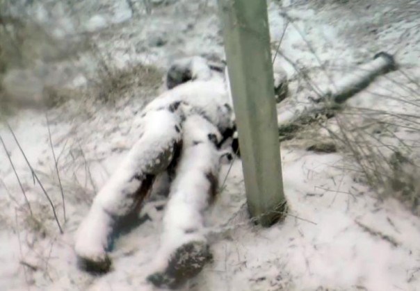 Командование ВСУ сажает на цепь солдат, намеревающихся сложить оружие